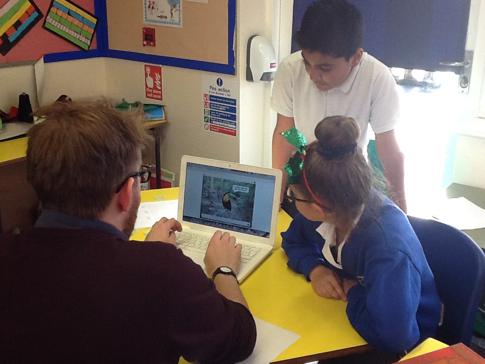 Howes Primary School rainforest exhbition